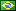 Brasil Português